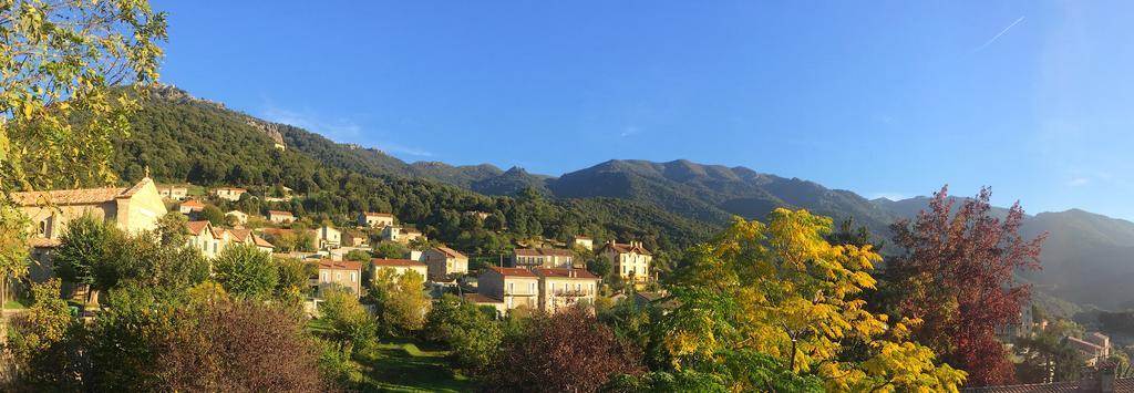 Gite Du Chalet Pietri Olivese Exterior foto