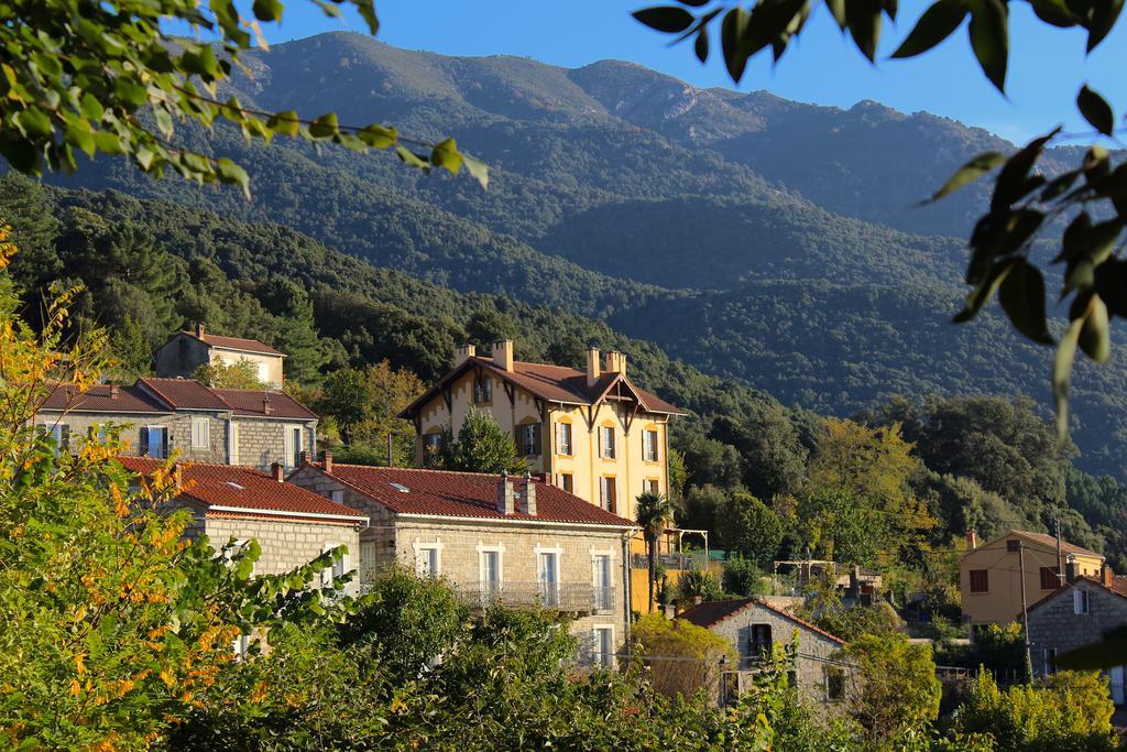 Gite Du Chalet Pietri Olivese Exterior foto